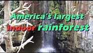 America's Largest Indoor Rainforest (4k)