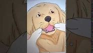 How to pet a dog WikiHow Meme