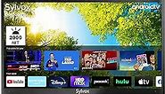 SYLVOX 55'' Outdoor Smart TV 4K UHD Ultra 2000NIT High Brightness HDR TV, Waterproof Built-in Chromecast, with WiFi Bluetooth Function for Outdoor Strong Light Areas(Poolpro Series)
