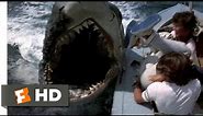 Jaws 2 (7/9) Movie CLIP - Shark vs. Sailboats (1978) HD