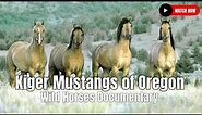 Kiger Mustangs of Oregon | Wild Horses Documentary