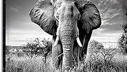 Black Elephant Canvas Wall Art: Wild Animal Portrait Picture African Landscape Painting Rustic Gray Woodland Wildlife Prints Modern Nature Dark Wilderness Scenery Photo Artwork for Bedroom