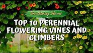 Breathtaking Blooms: Top 10 Perennial Flowering Vines and Climbers 🌿🌸🍃