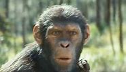 Bande-annonce La Planète des singes 2024 : la saga à 1,7 milliard de dollars revient avec des images impressionnantes