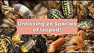 Unboxing 20 Species of Isopods!