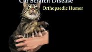 Cat Scratch fever - Everything You Need To Know - Dr. Nabil Ebraheim