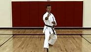 Basic Karate Blocks - Part 2