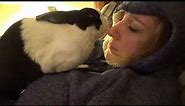 Rabbit giving kisses!