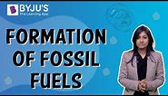 How Are Fossil Fuels Formed? | Class 5 | Learn With BYJU'S