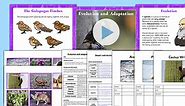 Evolution and Adaptation Year 6 Lesson Teaching PowerPoint