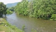 DIY Guide to Fly Fishing Lycoming Creek in North-Central Pennsylvania | DIY Fly Fishing