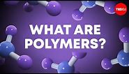 From DNA to Silly Putty: The diverse world of polymers - Jan Mattingly