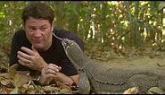 Monitor Lizard LICKS Steve's Eye! | Deadly 60 | BBC Earth