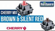 Cherry MX Brown & MX Silent Red | Mechanical Switch | Sound Test (ASMR) | Cherry MX Board 1.0