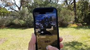iPhone 13/13 Pro: How to Take a Panorama Picture In Camera App