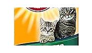 Arm & Hammer Cat Litter Deodorizer, 20 Oz, Orange 1.25 Pound (Pack of 1)