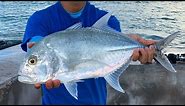 CATCHING BEAUTIFUL WHITE PAPIO! | Papio fishing | Live Oama | Fishing in Hawaii | Hawaii fishing |