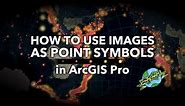 One Minute Map Hack: How to Use Pictures as Point Symbols in ArcGIS Pro