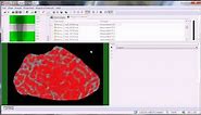 Bruker microCT tutorial: Calibration and measurement of bone mineral density (BMD and TMD) in bone.