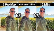 iPhone 12 Pro Max vs 12 Pro vs 12 Mini! Camera Test Comparison