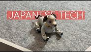BEST Japanese Tech at CEATEC 2019