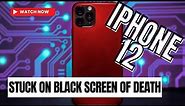 How To Fix An iPhone 12 That’s Stuck On Black Screen Of Death
