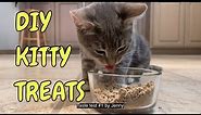 How To Make PurrFect Kitty Treats / Homemade Cat Snacks