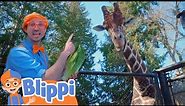 Blippi at the Zoo-Feeding the Animals | Animals for Kids | Animal Cartoons | Learn about Animals