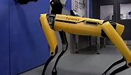 Boston Dynamics' Insanely Life-Like Robots!