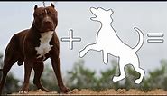 Top 9 Amazing Pitbull Cross Breeds | Pitbull mix breed dogs
