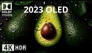 2023 OLED Demo l 4K HDR 60FPS Dolby Vision, BLACK BEAUTY.
