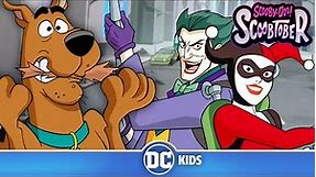 Scooby-Doo! and Krypto, Too! | FIRST 10 MINUTES! | #Scoobtober @wbkids @dckids