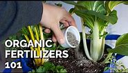 14 Organic Fertilizers and How to Use Them