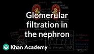 Glomerular filtration in the nephron | Renal system physiology | NCLEX-RN | Khan Academy