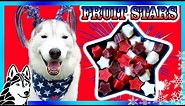 Patriotic Frozen Fruit Stars Dog Treats 🎆 DIY Dog Treats For 4th of July