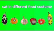 Cat in different food suit ( meme green screen ) | banana cat | pumpkin cat | apple cat