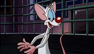 Animaniacs/Pinky and the Brain Volume 3 DVD Trailer