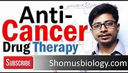 Anticancer drugs mechanism of action