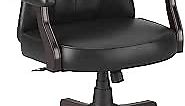 Bush Furniture Salinas High Back Tufted Office Chair with Arms, Black Leather