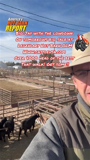7.2K views · 86 reactions | Jay Nordhausen! Head Cheese at Ogallala Livestock will light up that cattle drive town with over 4000 head of the best of the Sandhills and Panhandle! #Ogallala | Hot Barn Report | Facebook