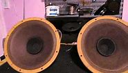 Vintage 12" Phillips Loudspeakers: 8Ω