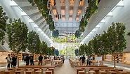 foster   partners unveils airy, light-filled apple at the grove store in los angeles