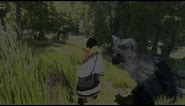 The last guardian - Baby trico and the Shadow of the Trico