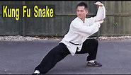 Shaolin Kung-Fu Snake Style Basic Training For Beginners