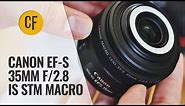 Canon EF-S 35mm f/2.8 IS STM Macro lens review with samples