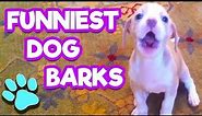 The Funniest Dog Barks You've Ever Heard | Try Not To Laugh | #thatpetlife