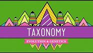 Taxonomy: Life's Filing System - Crash Course Biology #19