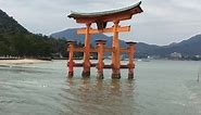 Japan Australia - The floating otorii shrine gate of...