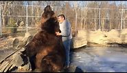 Man Hugs, Cuddles and Give Back Rubs to Massive Orphaned Bear