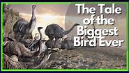 The Tale of the Elephant Bird: The Biggest Bird Ever